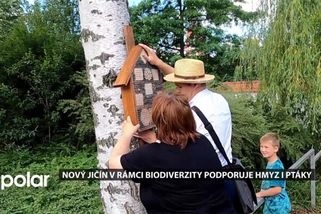Nový Jičín v rámci biodiverzity podporuje hmyz i ptáky, rozmisťuje jim v parku domečky | Nový Jičín | Zprávy | POLAR - Moravskoslezská regionální televize